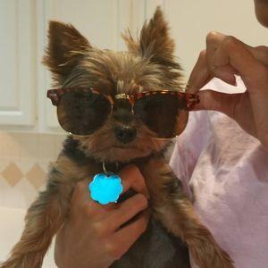 Meet your Posher, Lydia